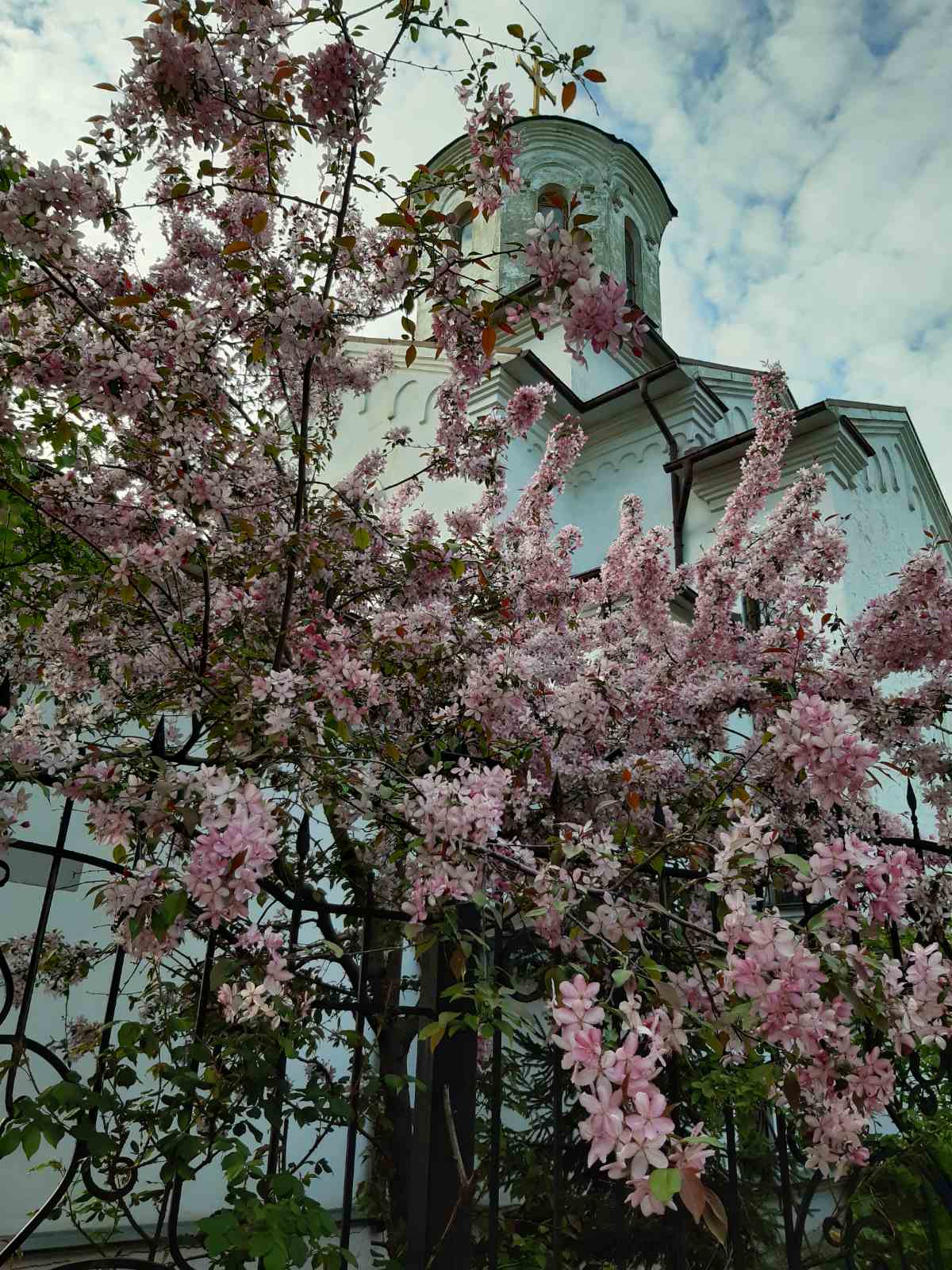 Храм весной